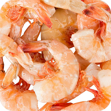 5 lbs. Medium Shrimp (Frozen)